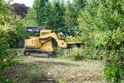 Forestry Clearing in Marietta, GA