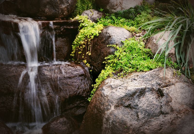 Water Features with Rocks