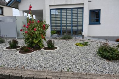 Feature Plants and Landscaping Elements